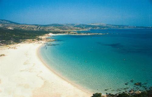 אולביה Good Vibe Sardinia B&B מראה חיצוני תמונה